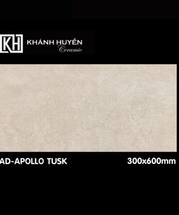 Gạch ốp lát AD-APOLLO TUSK 300x600mm men thô xuất xứ Ấn Độ