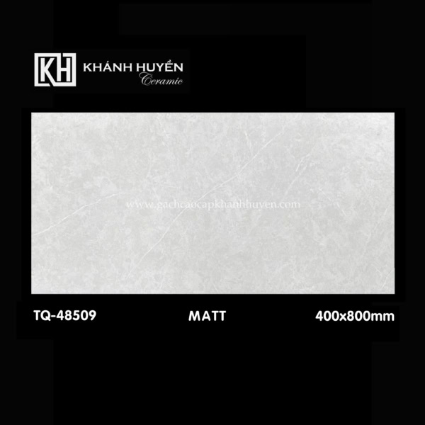 Gạch ốp lát 400x800 TQ-48509