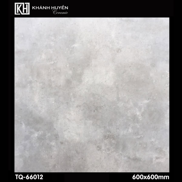 Gạch ốp lát 600x600 TQ-66012