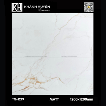 Gạch ốp lát 1200×1200 TQ-1219